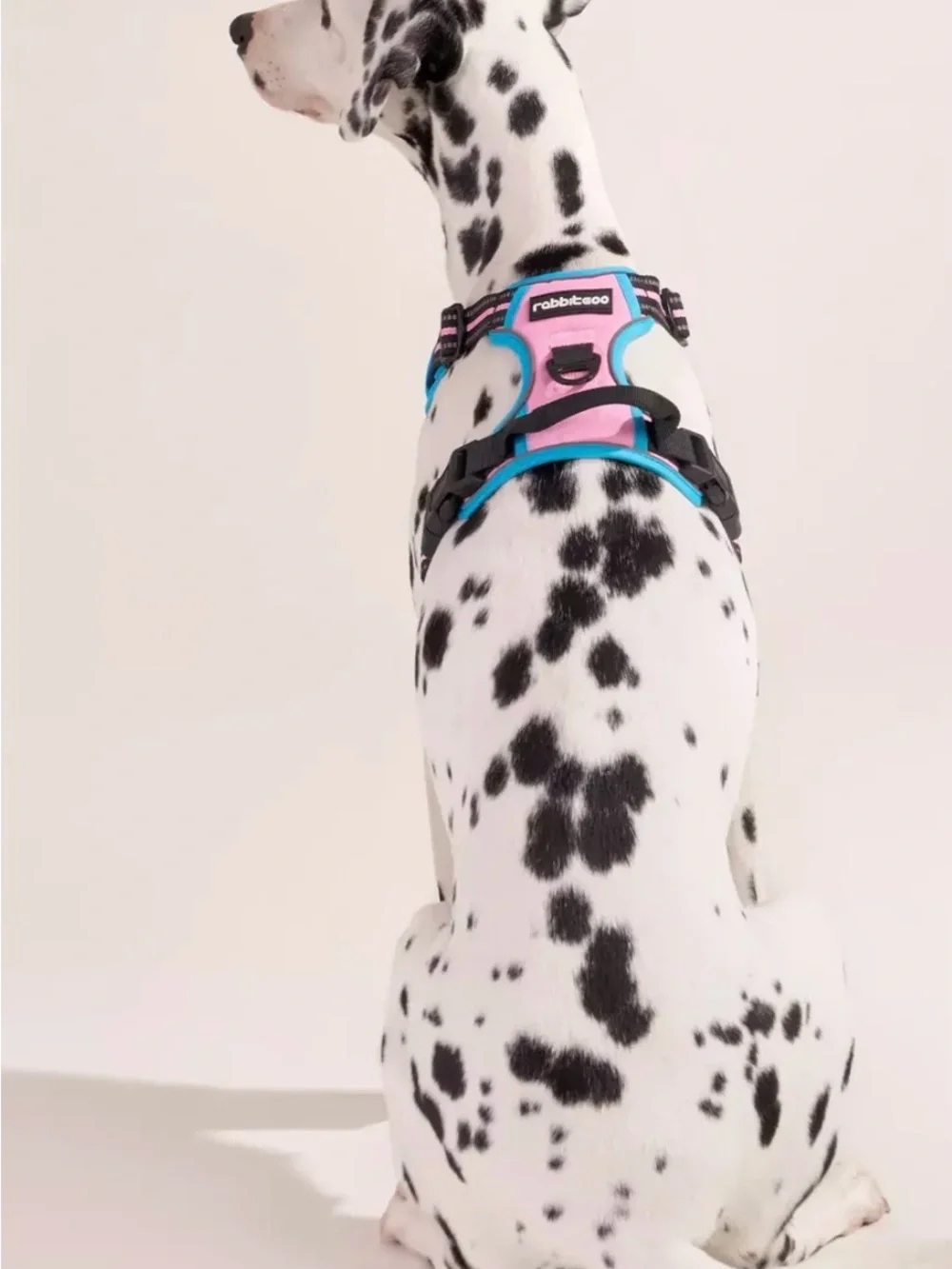 Rabbitgoo ColorPop Fit No Pull Dog Harness